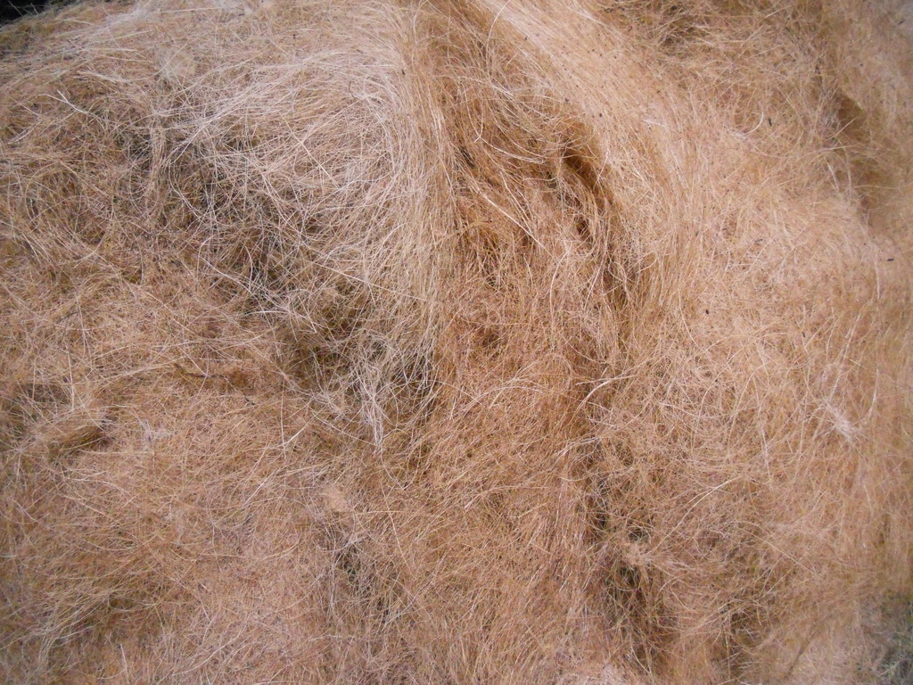 الیاف نرگیل چیست؟ کاربردها، ویژگی‌ها و مزایای الیاف نارگیل